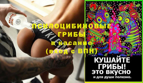 ПСИЛОЦИБИНОВЫЕ ГРИБЫ Белокуриха